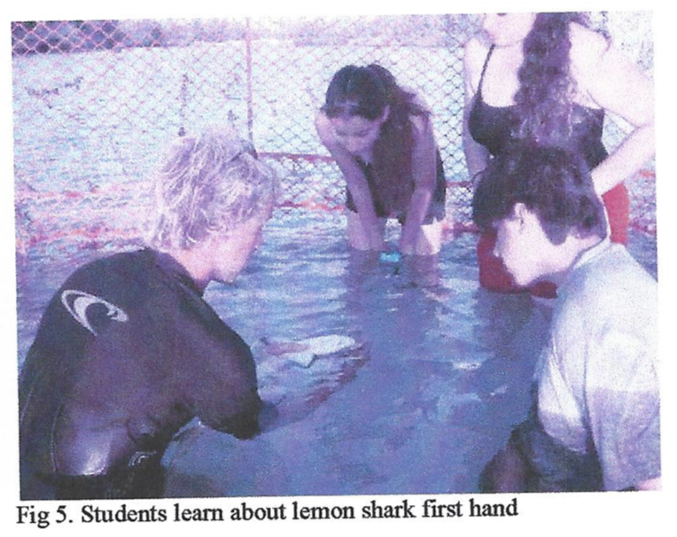 Integrated Teaching at the Shark Research Program for At-Risk Students of Dade and Other Florida Counties