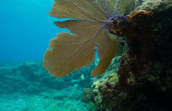 Biscayne National Park Awareness Campaign