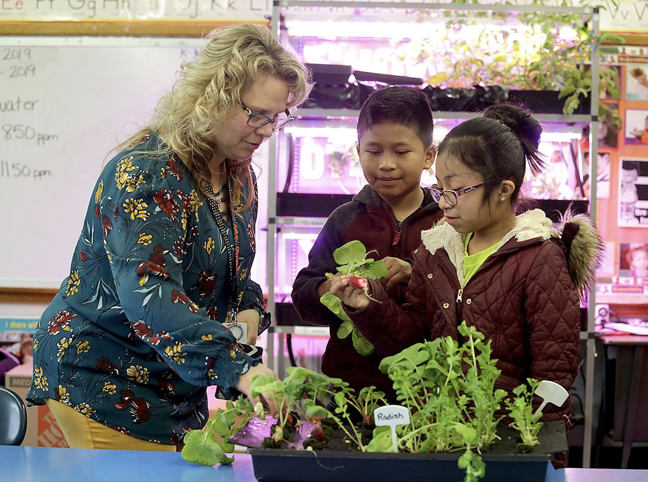 Lettuce Provide Massillon City Schools Indoor Gardens