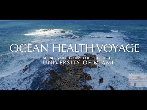 Creating “Media Building-Blocks of Environmental Knowledge” (MBEK) aka the “Ocean Health Voyage”