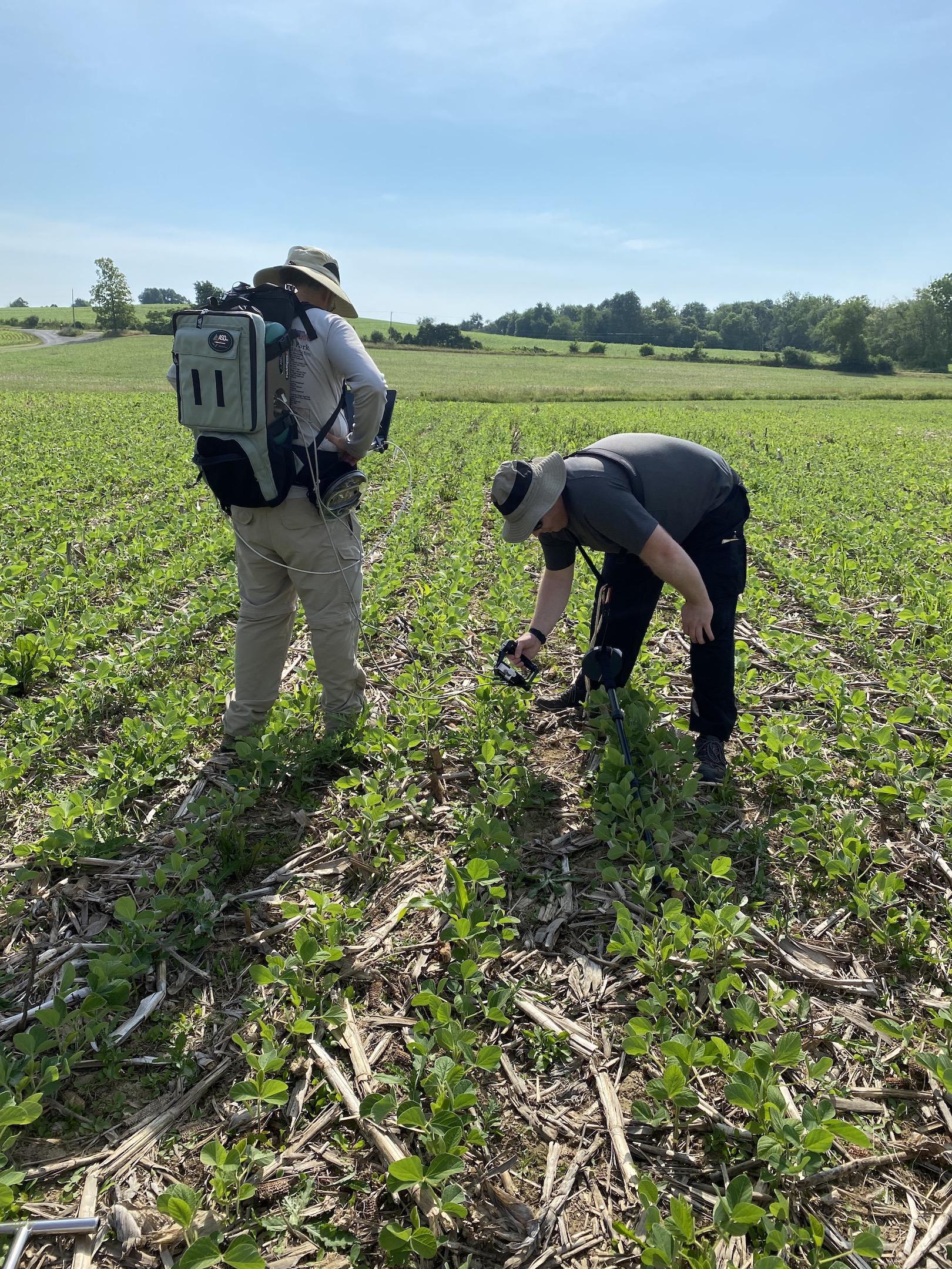 Cover Crop Impacts on Soil Carbon Inferred by Modeling and Soil Optical Properties