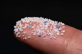 Generational Passage of micro-nano-plastic particles