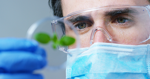 The Biomedical + Environmental Sciences