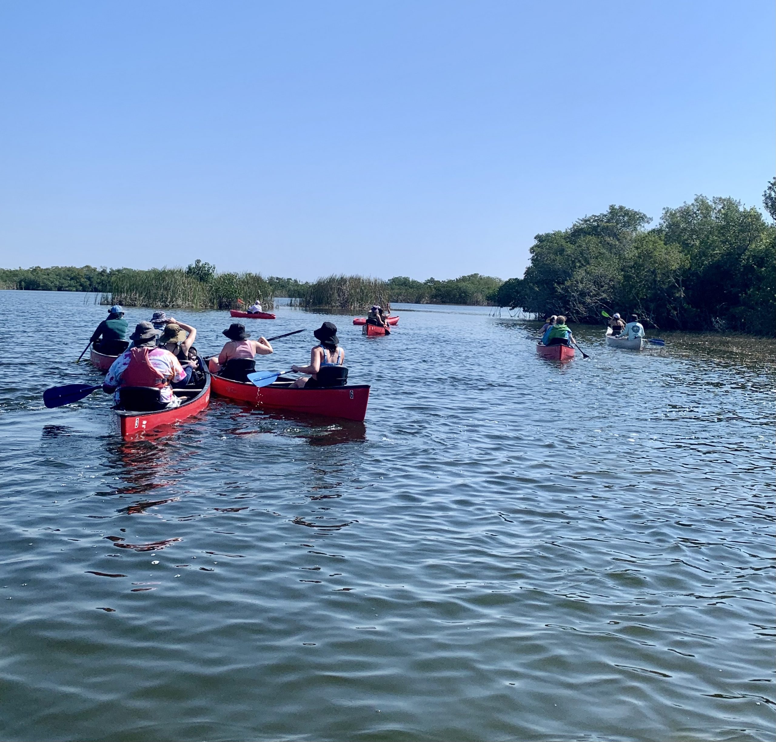 Not Just Water Under the Bridge – Advancing Marine Conservation Efforts in Stark County, Ohio