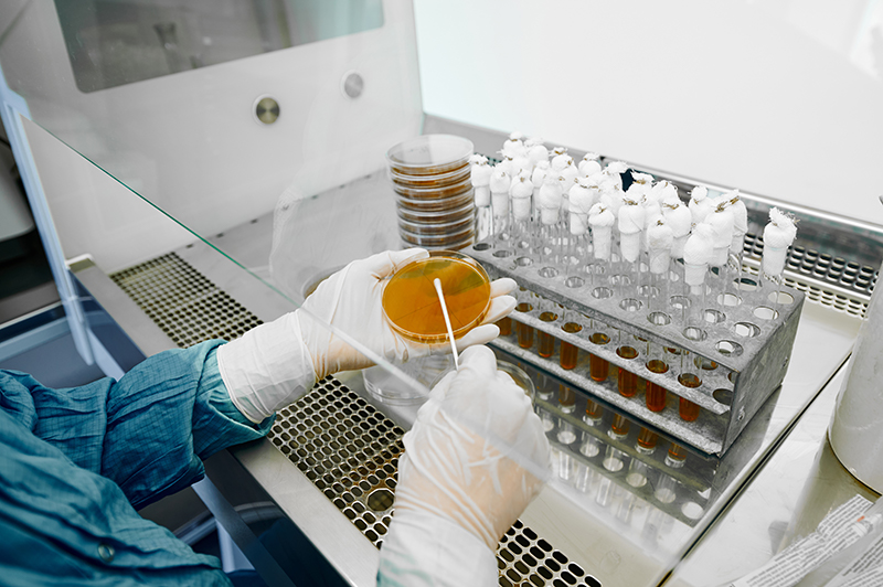 SEA-LAB IPATH Phage Collaboration
