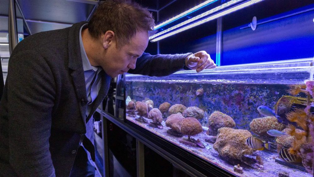 How Biomedical Innovation Is Powering Marine Conservation