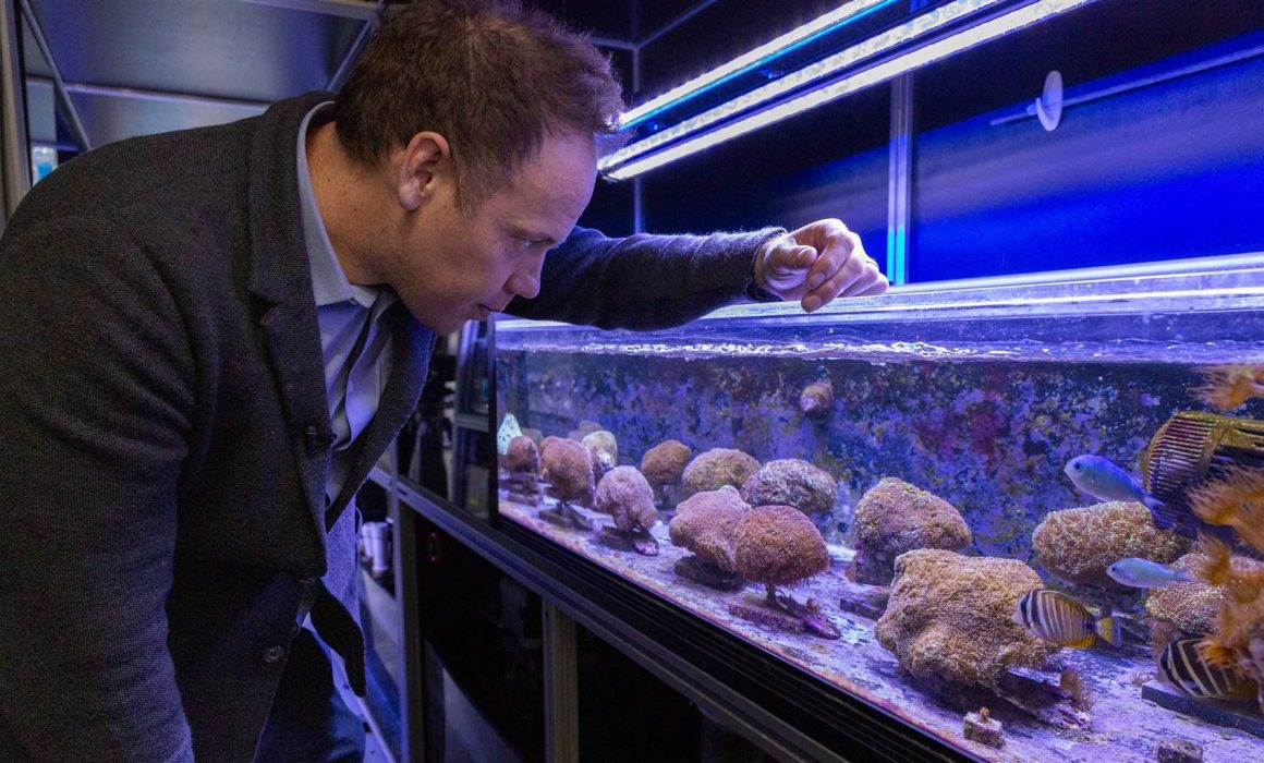 How Biomedical Innovation Is Powering Marine Conservation