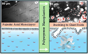 Can Ocean Plastics Change the Weather? A New Study Says Maybe